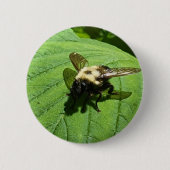 Badge Rond 5 Cm Bumble Bee (Devant)