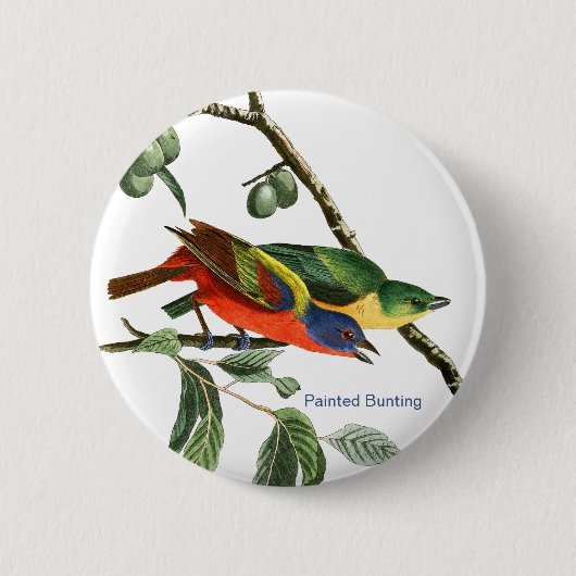 Badge Rond 5 Cm Bunting Peint, Audubon, Birdwatcher Finch Bird, (Devant)