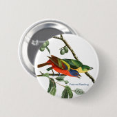 Badge Rond 5 Cm Bunting Peint, Audubon, Birdwatcher Finch Bird, (Devant & derrière)