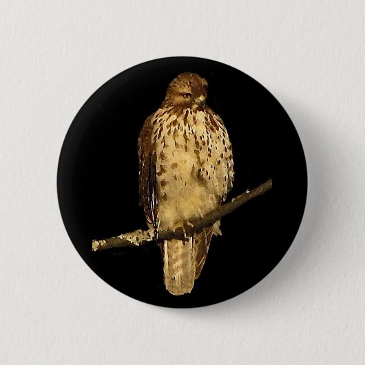 Badge Rond 5 Cm Buse à queue rouge (Devant)