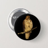 Badge Rond 5 Cm Buse à queue rouge (Devant & derrière)