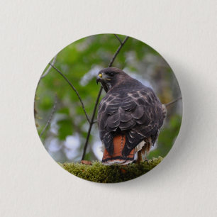 Badge Rond 5 Cm Buse à queue rouge
