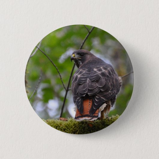Badge Rond 5 Cm Buse à queue rouge (Devant)