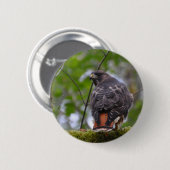 Badge Rond 5 Cm Buse à queue rouge (Devant & derrière)