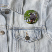 Badge Rond 5 Cm Buse à queue rouge (En situation)