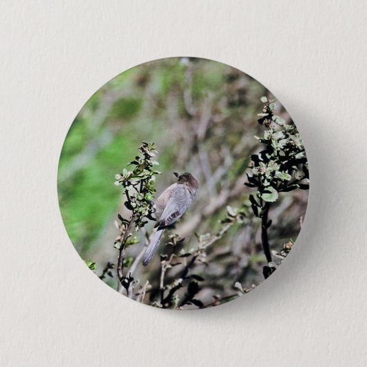 Badge Rond 5 Cm Bushtit (Devant)