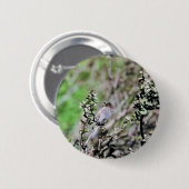 Badge Rond 5 Cm Bushtit (Devant & derrière)