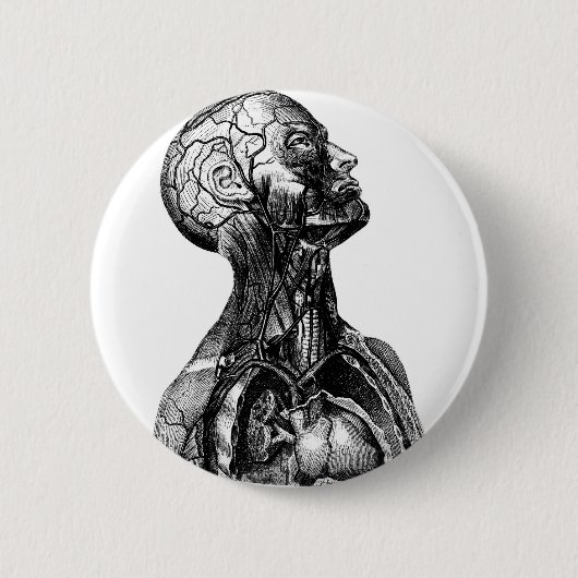 Badge Rond 5 Cm Buste d'anatomie (Devant)