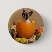 Badge Rond 5 Cm Button Halloween (Devant)