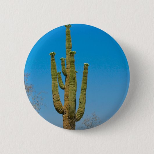 Badge Rond 5 Cm Cactus de Saguaro (Devant)