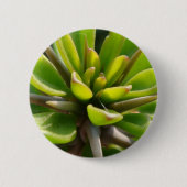 Badge Rond 5 Cm Cactus frais (Devant)