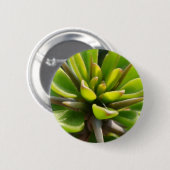 Badge Rond 5 Cm Cactus frais (Devant & derrière)