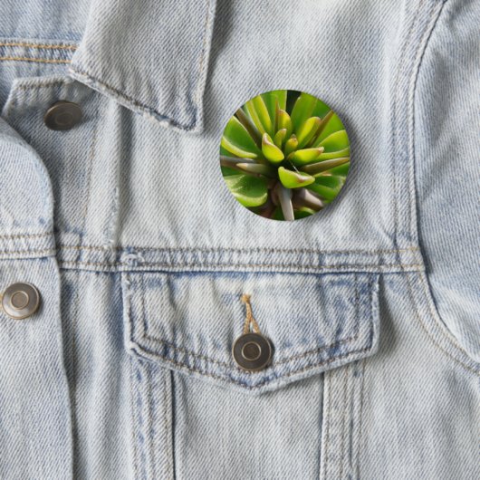 Badge Rond 5 Cm Cactus frais (En situation)