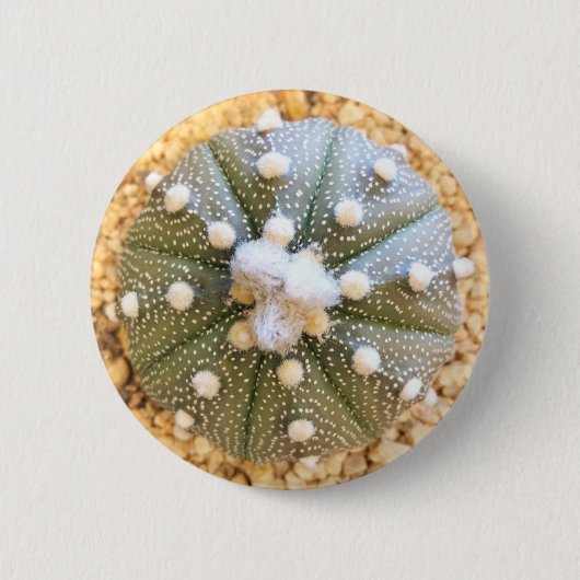 Badge Rond 5 Cm Cactus rare de motif d'Astrophytum Asterias (Devant)