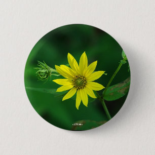 Badge Rond 5 Cm Cadeaux tournesol boisé du parc national de Hot Sp