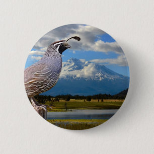 BADGE ROND 5 CM CAILLES ET SHASTA DE LA TA