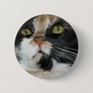 Badge Rond 5 Cm Calico Cat
