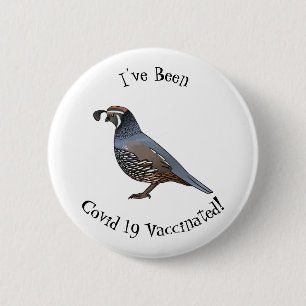 Badge Rond 5 Cm California quail bird cartoon illustration