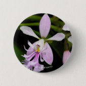 Badge Rond 5 Cm Caligarium d'Epidendrum (Devant)