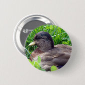 Badge Rond 5 Cm Call Duck Drake (Devant & derrière)