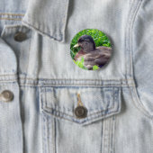 Badge Rond 5 Cm Call Duck Drake (En situation)