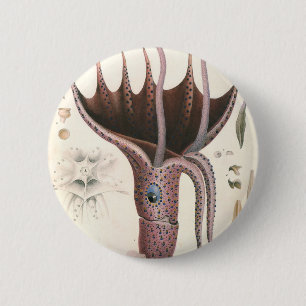 Badge Rond 5 Cm Calmar Parasol, Animaux Marins Vintage