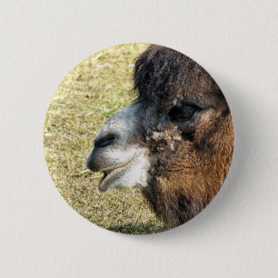 BADGE ROND 5 CM CAMELS