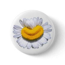 Camomille Radieuse Fleur Souriant Heureux