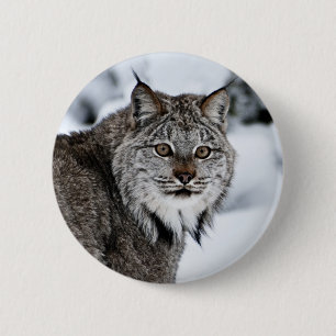 Badge Rond 5 Cm Canadien Lynx dans la neige