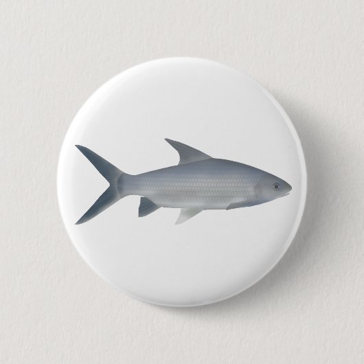 Badge Rond 5 Cm Canara Barb (Devant)