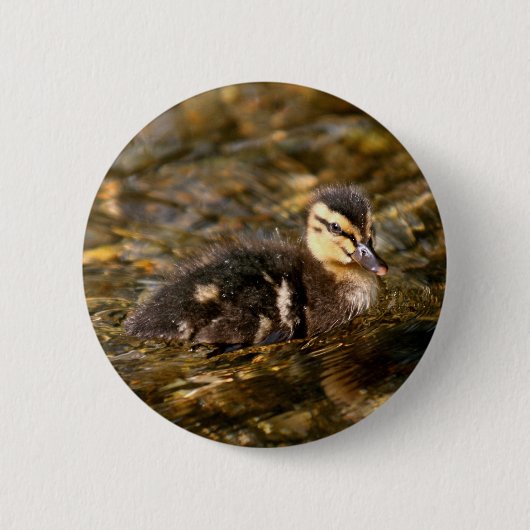 Badge Rond 5 Cm Canard (Devant)