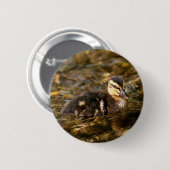 Badge Rond 5 Cm Canard (Devant & derrière)