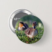 Badge Rond 5 Cm Canard (Devant & derrière)