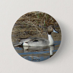 Badge Rond 5 Cm Canard colvert B5