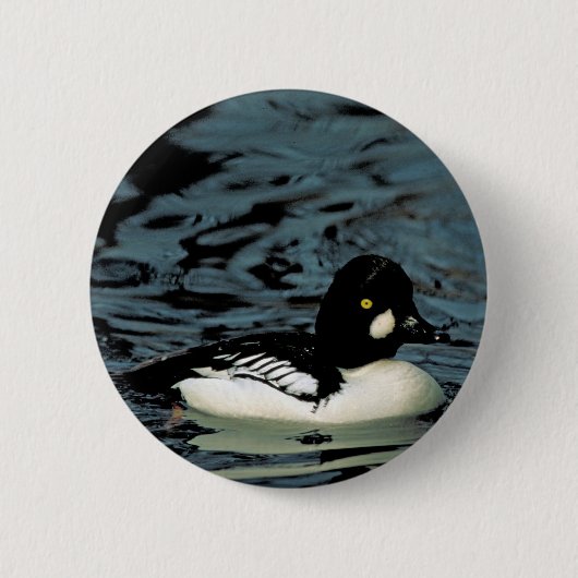 Badge Rond 5 Cm Canard de Goldeneye (Devant)