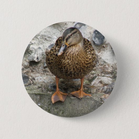 Badge Rond 5 Cm Canard sur un bouton du mur (Devant)