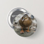 Badge Rond 5 Cm Canard sur un bouton du mur (Devant & derrière)