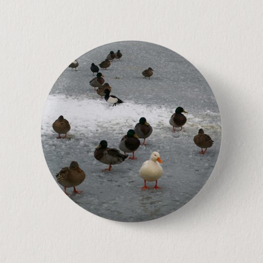 Badge Rond 5 Cm Canards sur la glace (Devant)