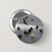Badge Rond 5 Cm Canards sur la glace (Devant & derrière)