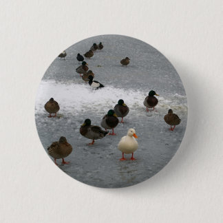 Badge Rond 5 Cm Canards sur la glace