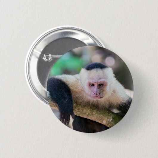 Badge Rond 5 Cm Capucin à tête blanche se reposant (Devant & derrière)