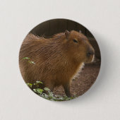 Badge Rond 5 Cm Capybara (Devant)