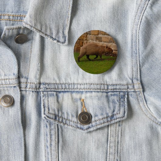 Badge Rond 5 Cm capybara (En situation)