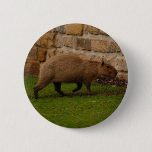 Badge Rond 5 Cm capybara