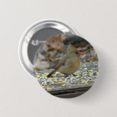 Badge Rond 5 Cm Cardinal (Cardinalis cardinalis) (Devant & derrière)