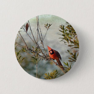 Badge Rond 5 Cm Cardinal de Wax Myrtle