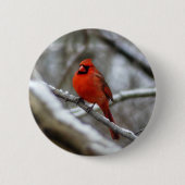 Badge Rond 5 Cm Cardinal masculin (Devant)