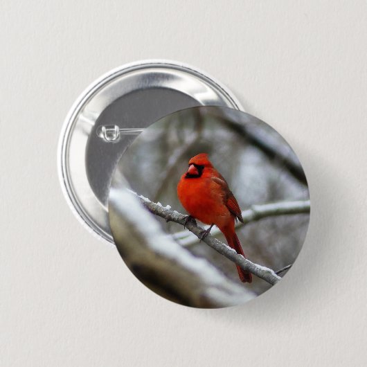 Badge Rond 5 Cm Cardinal masculin (Devant & derrière)
