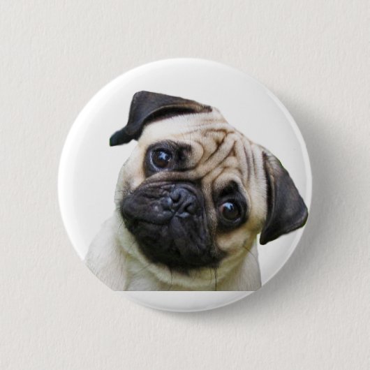 Badge Rond 5 Cm carlin (Devant)