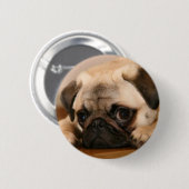 Badge Rond 5 Cm Carlin "innocent" (Devant & derrière)